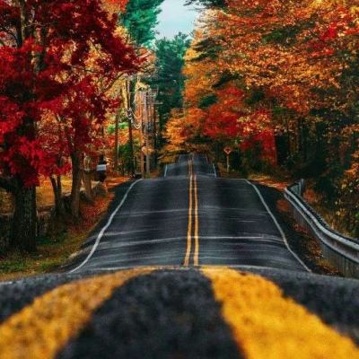 押注篮球的appapp下载