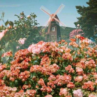 幸运28app下载截图