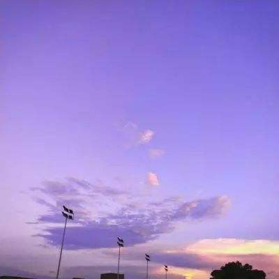 2023年新澳门今晚开特马手机app下载